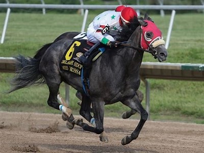 Discover the Exciting World of Willbet Casino in Delaware: Your Ultimate Gaming Guide
