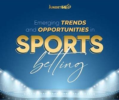 Explore the Exciting World of Willbet Sports Network for Thrilling Betting Opportunities