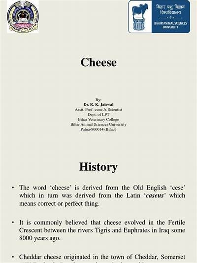 Comprehensive Guide to Downloading and Understanding the Cheese Game Rules PDF