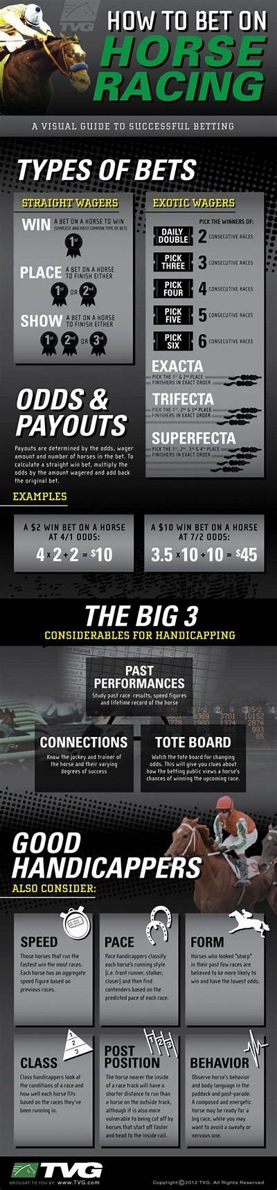 How to Place Successful Bets on Horse Racing for Beginners and Experienced Punters Alike