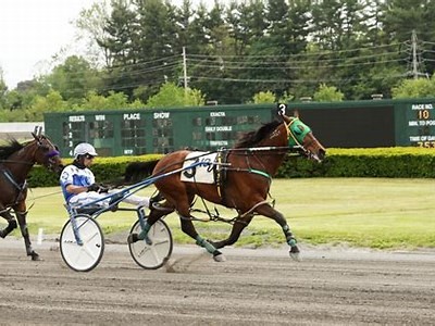 Discover the Exciting Features of Willbet Online Casino in New Jersey Today